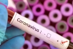 Vaccine for coronavirus, Vaccine for coronavirus, who warns covid 19 may never go away then what s the future of the world, U s federal reserve