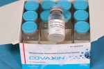 WHO on Covaxin updates, WHO news, who suspends the supply of covaxin, Covax