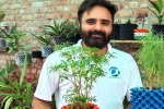 karnal municipal corporation, nri, young nri entrepreneur returns to his native place with an intent to save water in gardening, Cow dung