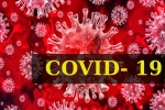 Dr Tedros Adhanom Ghebreyesus, COVID- 19, who renames the deadly coronavirus as covid 19, Swine flu