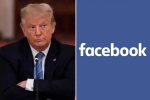 Donald Trump, Facebook bans Donald Trump, facebook bans donald trump for 2 years, Ap public safety