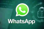 iOS Testing Multi-Account Support for WhatsApp news, iOS Testing Multi-Account Support for WhatsApp latest update, whatsapp for ios testing multi account support, Whatsapp for ios