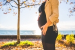 pregnancy and parenting, pregnancy, 3 in 5 pregnancy related deaths in the united states can be prevented cdc report, Heart muscle