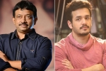 Nagarjuna, Akhil Akkineni news, akhil rgv film in trouble, Casting couch