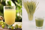 Amla Juice, Amla Juice Vs Wheatgrass Juice for health, amla juice vs wheatgrass juice for fatty liver, Out