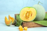 Muskmelon Seeds health benefits, Muskmelon Seeds news, health benefits of muskmelon seeds, Nutritional benefits