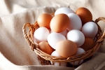 Brown Eggs Vs White Eggs breaking, Brown Eggs Vs White Eggs breaking, brown eggs vs white eggs which is healthy, Changes