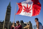 Senate, Canada, canada senate legalizes recreational marijuana, Uruguay