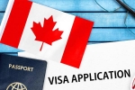 Canada's study visa approvals India, Canada's study visa approvals decline, canada s study visa approvals for indian students to drop by 50 in 2024, Federal government