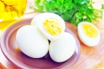 Eggs Overrated Food, Eggs Overrated Food, are eggs the overrated health food in the world, Ios 18 ai