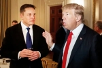 Donald Trump's Campaign, Elon Musk for Donald Trump, elon musk donates for donald trump s campaign, Ssr