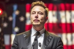 Elon Musk, Elon Musk DOnald Trump - Matrix, is elon musk in the trump cabinet, Joint statement