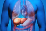 Fatty Liver in Youngsters reasons, Fatty Liver in Youngsters for health, why is fatty liver affecting youngsters, Icu