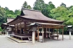 Japan Viral Mikami Shrine viral, Japan Viral Mikami Shrine, why are travellers flocking to japan s viral mikami shrine, Dress