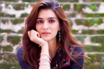 Entertainment, Kriti Sanon, kriti sanon tested positive for covid 19, Bmc