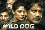 Matinee Entertainment, Wild Dog new updates, release date of nag s wild dog is out, Saiyami kher