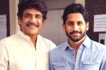 Nagarjuna about Samantha divorce, Nagarjuna about Samantha, nagarjuna s clarification on naga chaitanya s divorce, Nagarjuna akkineni Nagarjuna about Samantha divorce, Nagarjuna about Samantha, nagarjuna s clarification on naga chaitanya s divorce, Nagarjuna akkineni
