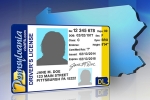 Pennsylvania driver's license, , pennsylvania driver s license will not be valid as real id from 2018, Ration card Pennsylvania driver's license, , pennsylvania driver s license will not be valid as real id from 2018, Ration card