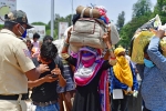 sonu sood, covid-19, plight of migrant workers baby shakes to wake up deceased mother, Ashok bhushan