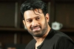 Deepika Padukone, Prabhas updates, prabhas to join project k from november, Ashwini dutt