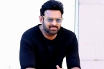 Prabhas new movies, Deepika Padukone, prabhas to return back to work, Ashwini dutt