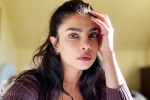 Priyanka Chopra statement, Priyanka Chopra breaking, priyanka chopra breaks silence on don t look for virgin wife comment, Babu