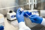New Ebola Outbreak news, New Ebola Outbreak vaccine, russia claims breakthrough vaccine against new ebola outbreak, Reviews