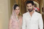 Shahid Kapoor news, Shahid Kapoor, shahid kapoor s baby not named yet, Mira rajput