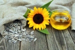 Sunflower seeds breakfast, Sunflower seeds for health, sunflower seeds and their nutritional benefits, Nutritional benefits