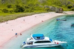 Pink Beach in Indonesia best, Pink Beach in Indonesia latest, which pink beach should you visit in indonesia, Rock on 2