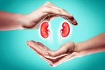 World Kidney Day 2025 care, World Kidney Day 2025 tips, world kidney day 2025 theme and health tips, Usa