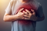 difference between heart and cardiac arrest, recovery after sudden cardiac death, difference between a heart attack and cardiac arrest, Heart muscle