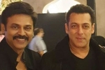 Aashritha daggubati, Aashritha daggubati, watch salman khan shake legs with venkatesh at his daughter aashritha daggubati s wedding, Ali abbas zafar s Aashritha daggubati, Aashritha daggubati, watch salman khan shake legs with venkatesh at his daughter aashritha daggubati s wedding, Ali abbas zafar s